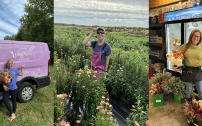 Flower Farmer Florist: Which are You?